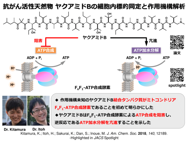 RESEARCH | INOUE RESEARCH GROUP